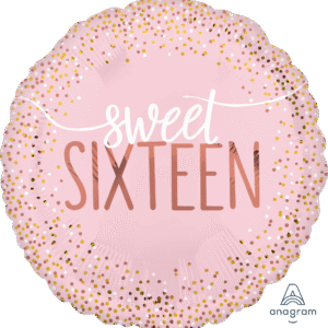STD SIXTEEN BLUSH (PKG)