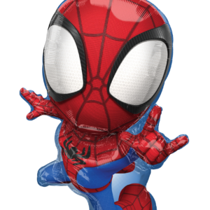 SS SPIDEY & HIS AMAZING FRIENDS