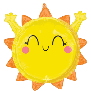 ROLY POLIE SENDING YOU SUNSHINE